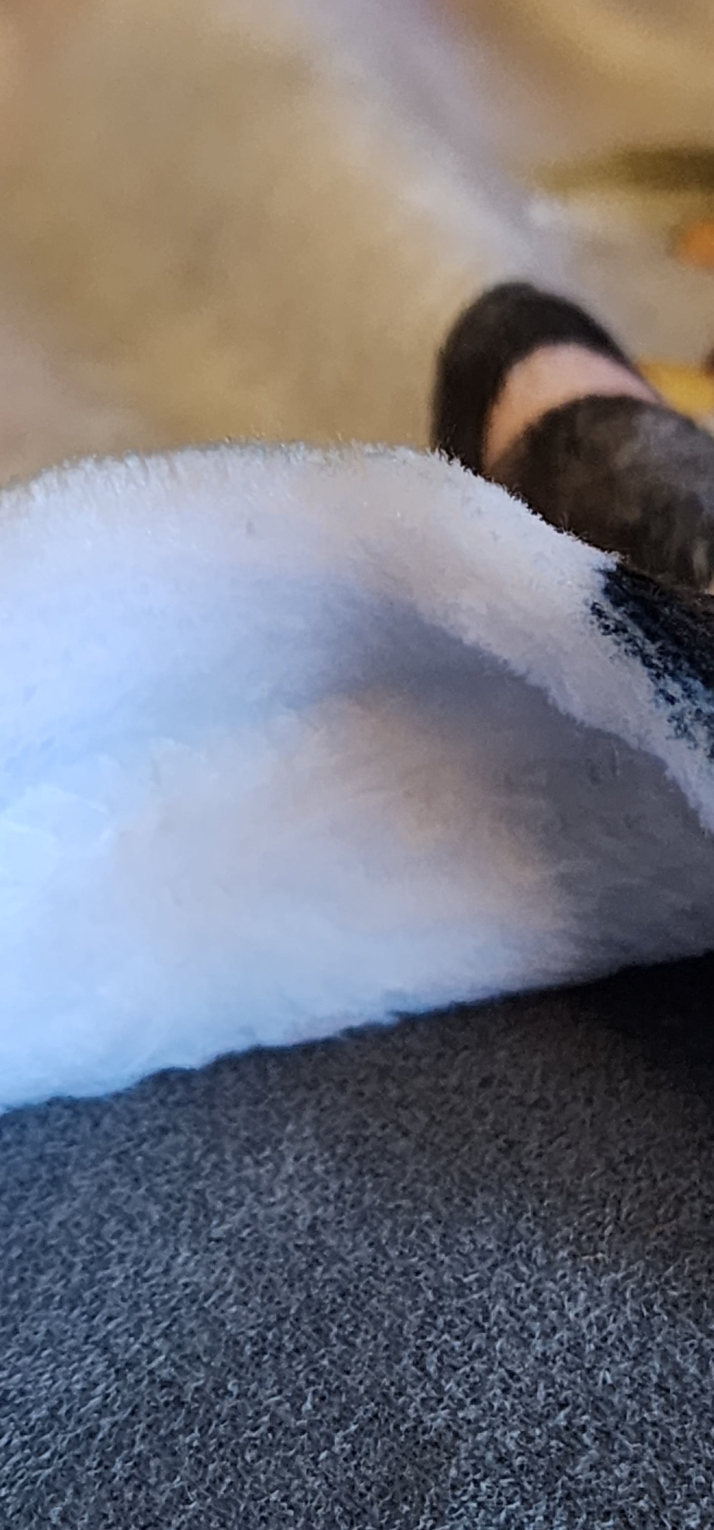 Forest Animal Minky Blanket & Swaddle Set